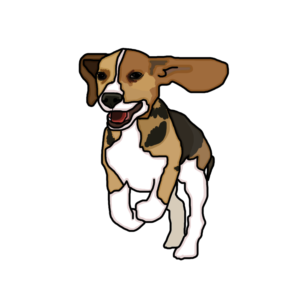 Services Pricing Brady s Pet Sitting Services services-pricing-brady-s-pet-sitting-services
